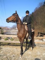 /album/fotogalerie/tajoviii-jpg/